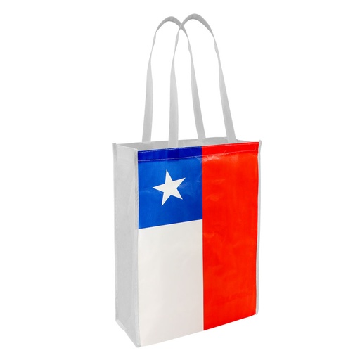 [E55-02] Bolsa Tnt Bandera Chilena Mediana -[E55]d
