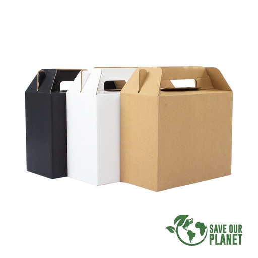 [F28] Caja Autoarmable Con Asas, 25X20X12 Cm -[F28]d