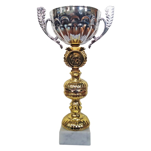 Copa Raf -[COPARAF]b