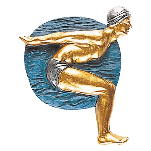 [591098905] Molde De Resina Natación (Nr 39) -[591098905]b