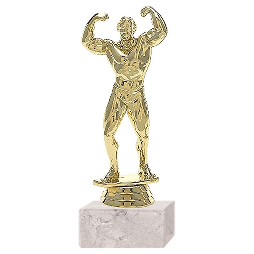 [591095420] Trofeo Plástico Físico Culturismo Rp-0400 -[591095420]b