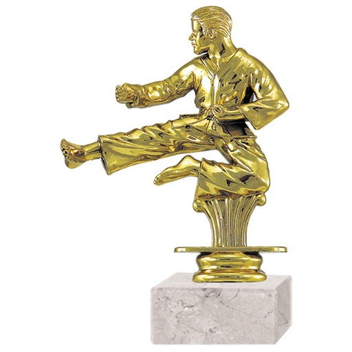 [591095065] Trofeo Plástico Karate Rp-8416 -[591095065]b