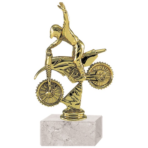 [591095045] Trofeo Plástico Motocross Rp-8413 -[591095045]b