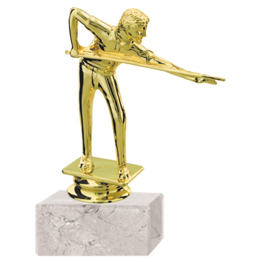 [591095021] Trofeo Plástico Pool Rp-8059 -[591095021]b