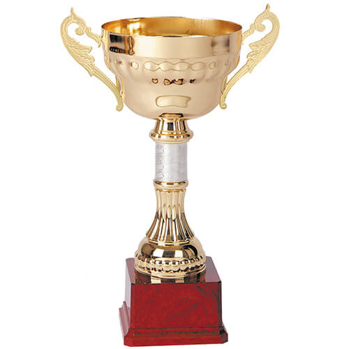 [2007] Copa 2007 -[COPA2007]b