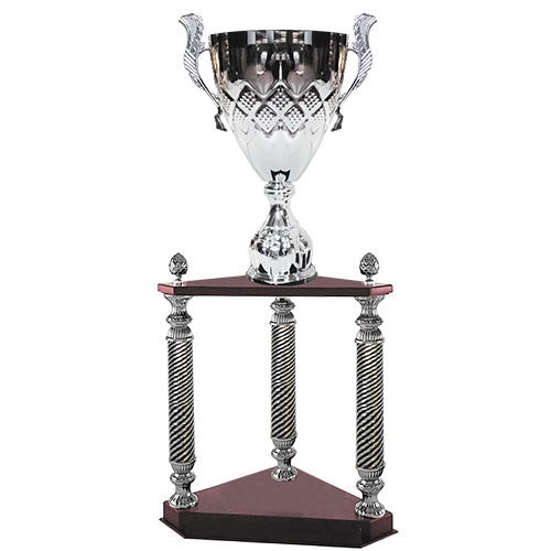 [4144] Copa Torre 4144 -[COPA4144]b