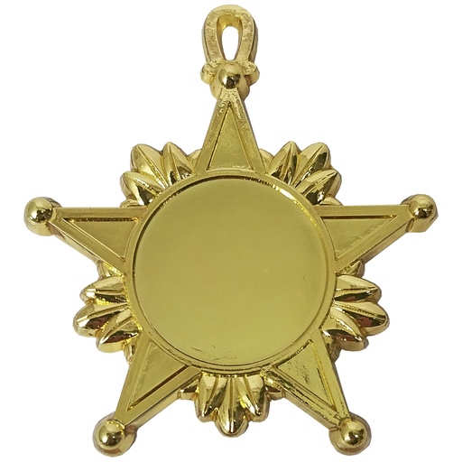 [591077042] Medalla Condecoración De Fierro Estrella Con Hojas CON03 -[591077042]b