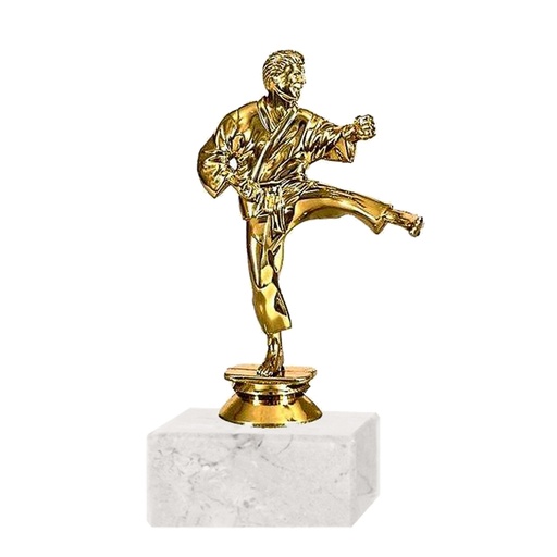 [591094167] Trofeo Plástico Fr Karate Mediano -[591094167]b