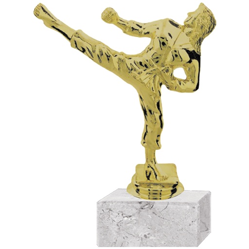 [591094008] Trofeo Plástico Karate Femenino -[591094008]b