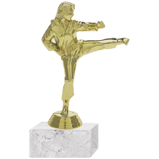 [591094060] Trofeo Plástico Karate Femenino 2 -[591094060]b