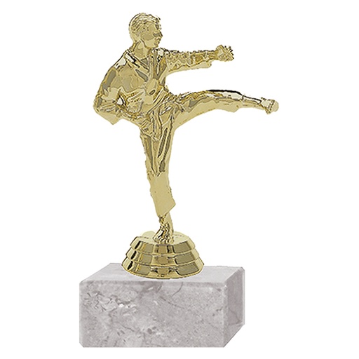 [591094010] Trofeo Plástico Karate Masculino -[591094010]b
