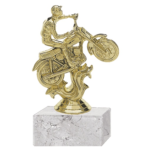 [591094050] Trofeo Plástico Motocross -[591094050]b