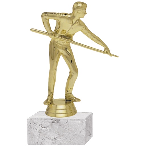 [591094021] Trofeo Plástico Pool Masculino -[591094021]b