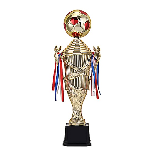 [2015] Copa 2015 -[COPA2015]b