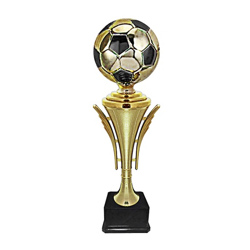 [2017] Copa 2017 -[COPA2017]b