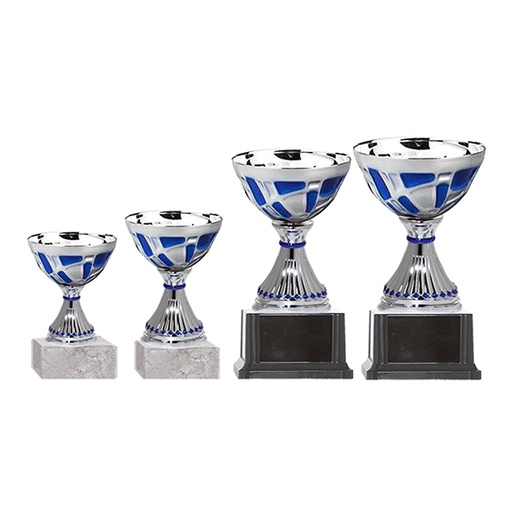 [BLAS 31] Copa Blas 31 -[COPABLAS31]b