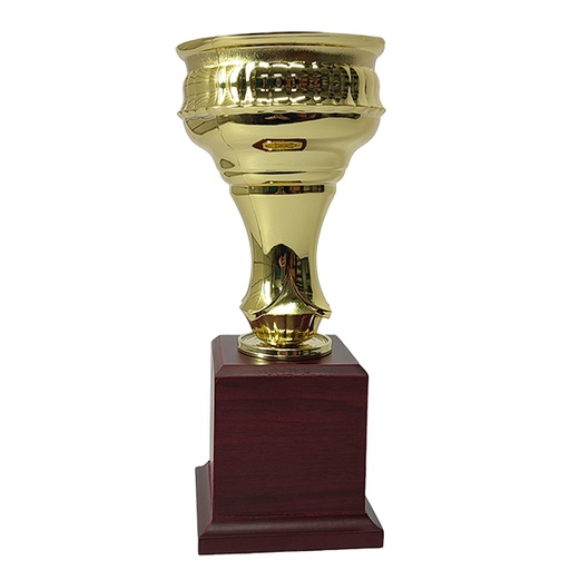 Copa CP21 -[COPACP21]b