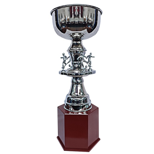 [GRAN CAMPEON] Copa Gran Campeón -[COPAGRANCAMPEON]b
