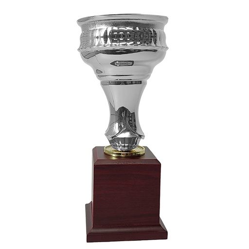 Copa CP22 -[COPACP22]b