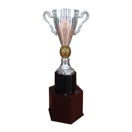 Copa España 733 -[COPAESPAA733]b