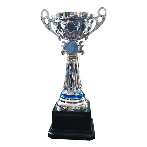 [591086309] Copa RDO10 -[591086309]b