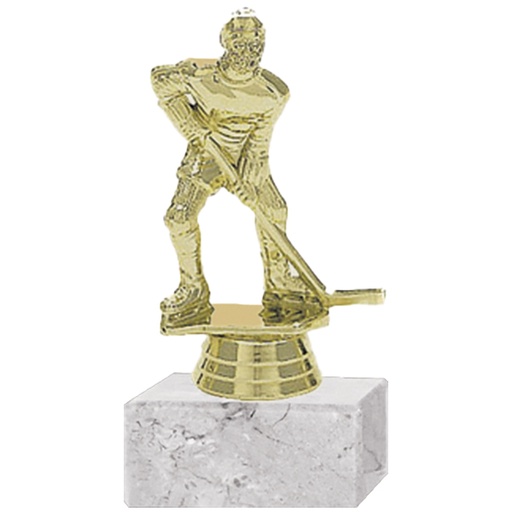 [591094036] Trofeo Plástico Hockey Hielo Masculino -[591094036]b