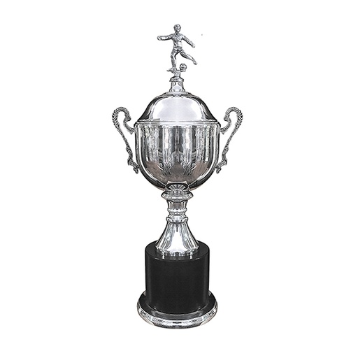 Copa Inglesa 115 -[COPAINGLESA115]b